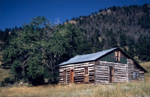 historic log cabin in a meadow