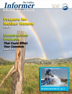 cover image of The Golden Informer