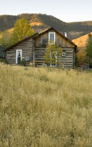 cabin in history park