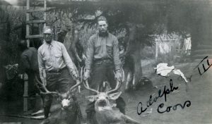 photo collection