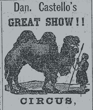 When the circus walked to Golden