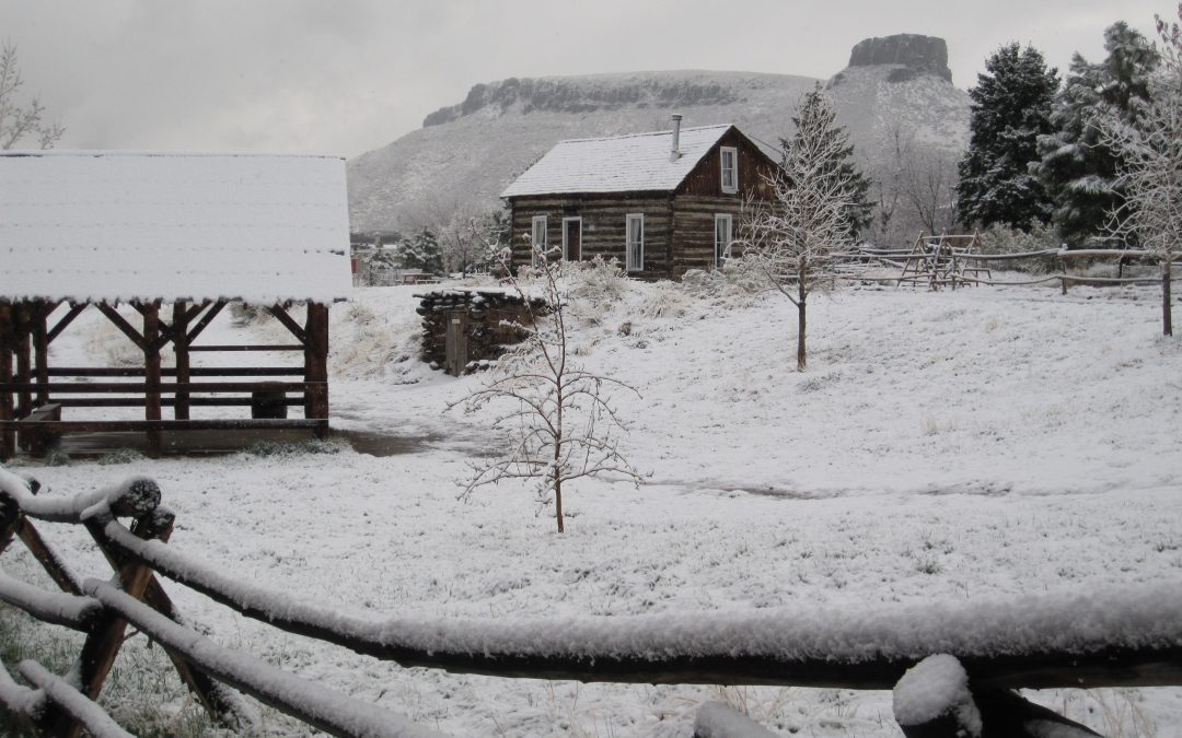 Special outdoor Christmas program for 2020