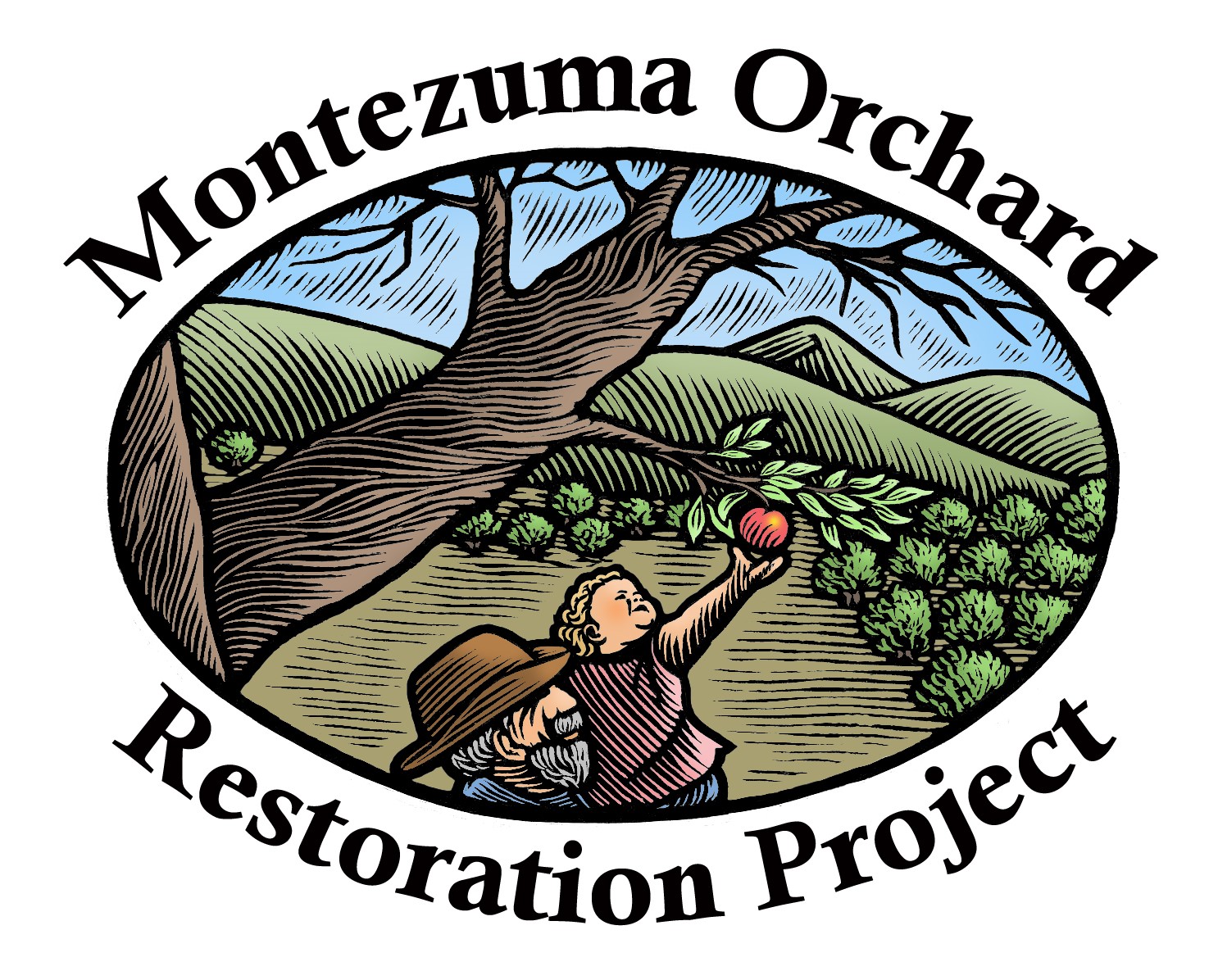 morp orchard logo