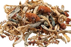 Psilocybin or magic mushrooms