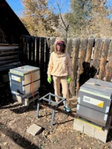 beekeeper standing by hives