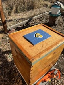 exterior detail of beehive